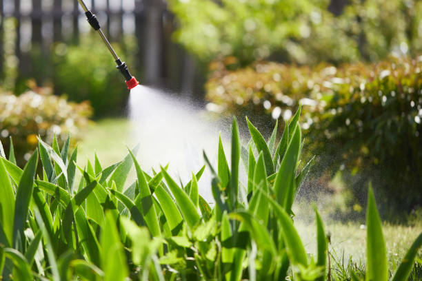 24/7 Emergency Mosquito Control experts in Celina, TN